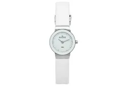 Skagen Uhrenarmband 358XSSLWW