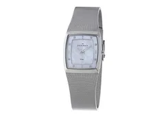 Skagen watch band 380SSS