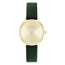 Calvin Klein watch-band 25200147 Timeless