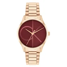 Calvin Klein watch-band 25200347 Iconic