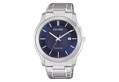 Citizen watchband AW1211-80L