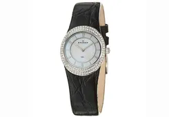 Skagen Uhrenarmband 566XSSLB4