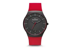 Skagen watch band SKW6073