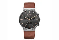 Skagen watchstrap SKW6106