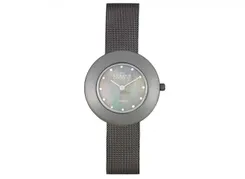 Skagen watch band 569STTM