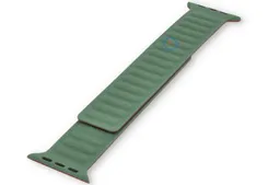 Starkes Magnetband Apple Watch 41mm - saliegrün