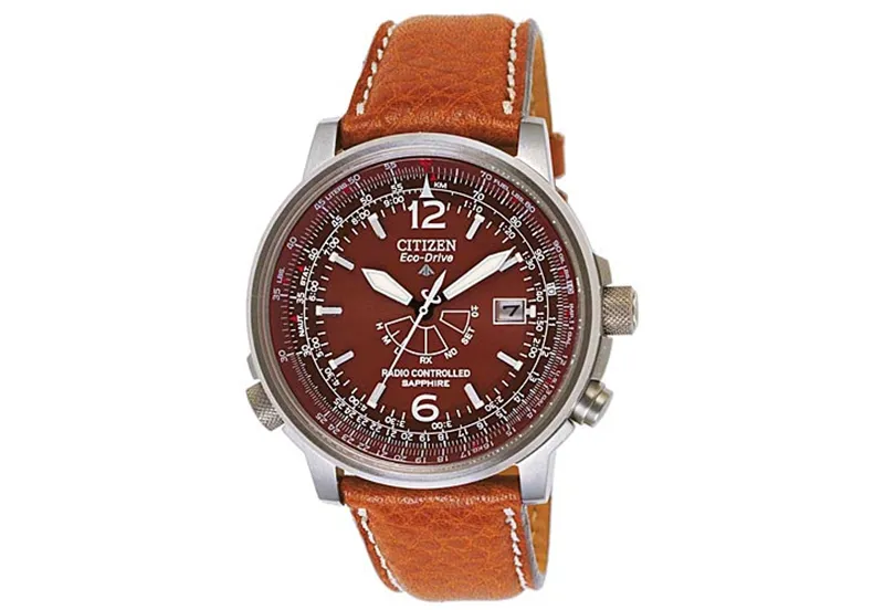 Citizen watchband AS2031-06W