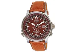 Citizen watchband AS2031-06W