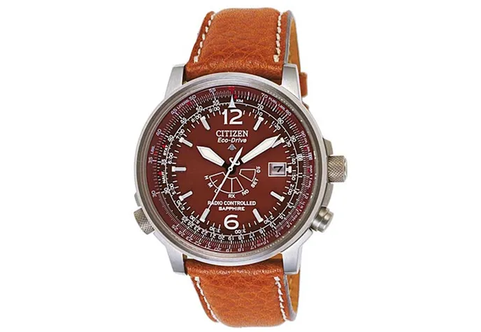 Citizen watchband AS2031-06W