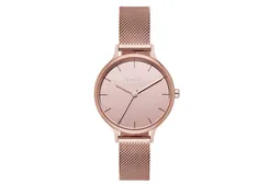 Skagen Uhrenarmband SKW2413