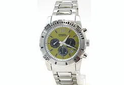 Fossil horlogeband CH2454