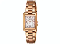 Fossil horlogeband ES3326