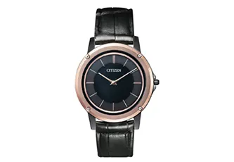 Citizen watchband AR5025-08E