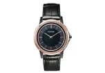 Citizen watchband AR5025-08E