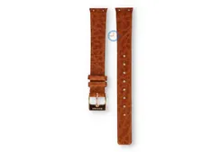 Watchstrap for Bering 11923-562