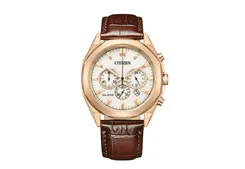 Citizen Watch strap CA4593-15A