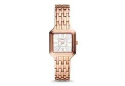 Fossil horlogeband ES5080