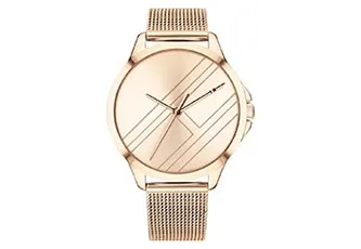 Tommy Hilfiger watchband TH1781963