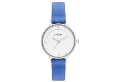 Skagen watch band SKW2173