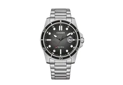 Citizen Watch strap AW1816-89E