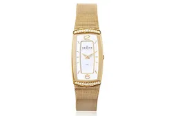 Skagen watch band 887SGG