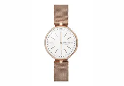 Skagen Uhrenarmband SKT1404