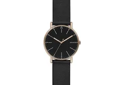 Skagen Uhrenarmband SKW6401 Signatur