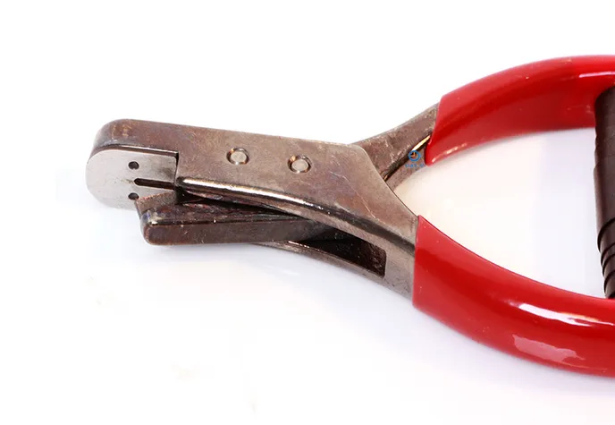 Watchstrap punch tool