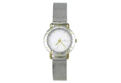 Skagen watch band 3SGS
