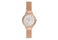 Fossil horlogeband ES5111