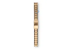 Fossil horlogeband ES2889