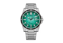 Citizen Watch strap AW1816-89L