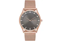 Skagen Uhrenarmband SKW2378