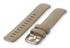 Fitbit Inspire 2 watch band - Metallic gold(Size: S)
