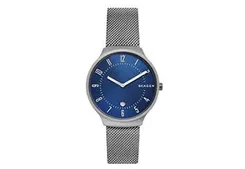 Skagen watch band SKW6517