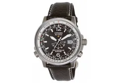 Citizen watchband AS2031-014E