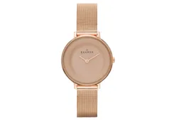 Skagen watch band SKW2213
