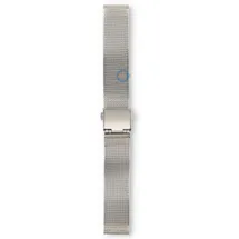 Citizen  AC2200-55E watch strap