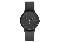 Skagen watch band SKW6480