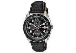 Citizen Eco-Drive watch strap AP4010-03E