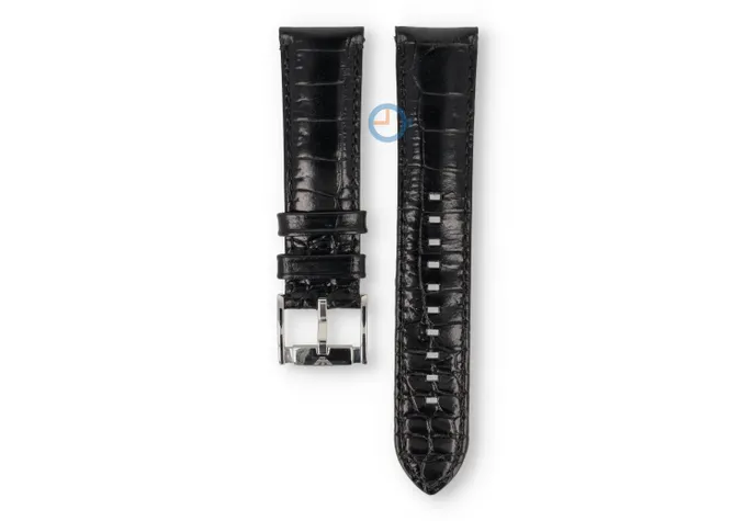 Armani watch strap AR2411 - 22mm