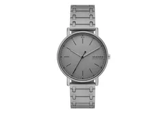 Skagen Watch Strap SKW6913