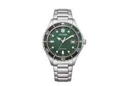 Citizen Watch strap AW1828-80X