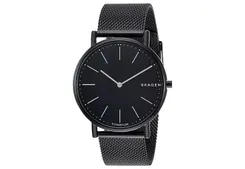 Skagen watch band SKW6484