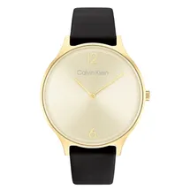 Calvin Klein watch-band 25200008 Timeless Mesh