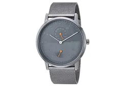 Skagen watch band SKW6501