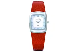 Skagen watch band 855SSLO