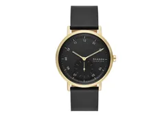 Skagen Watch Strap SKW6896