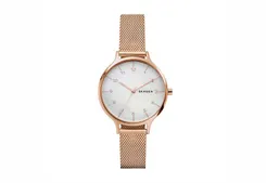 Skagen Uhrenarmband SKW2633