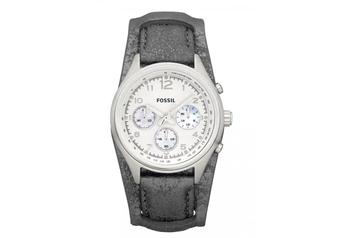 Fossil horlogeband CH2796